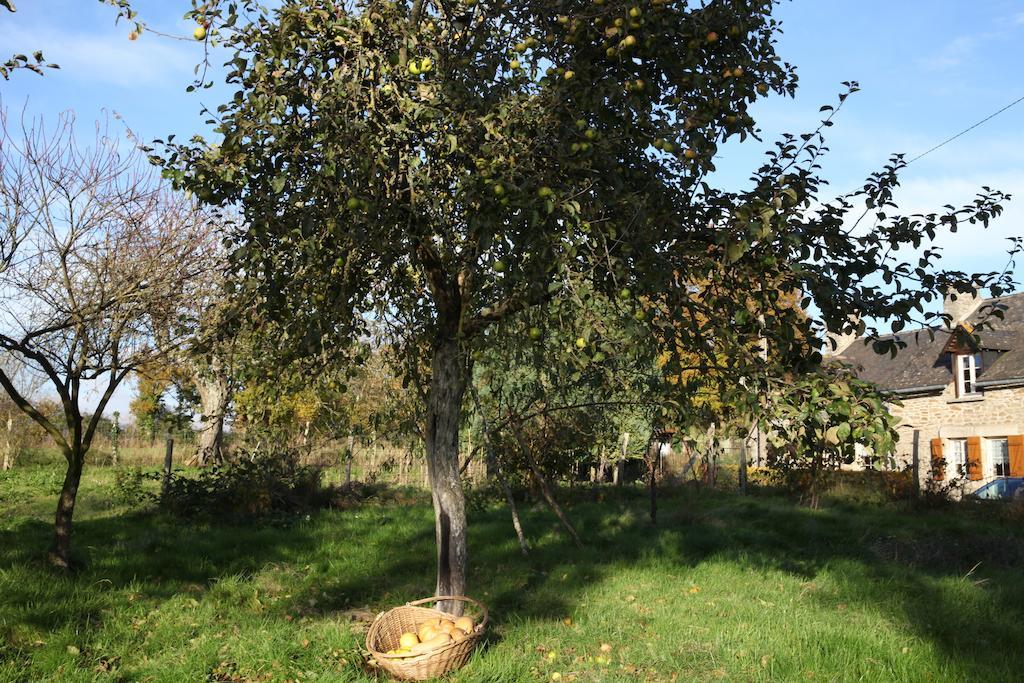 مبيت وإفطار Champfrémont La Grange O Belles المظهر الخارجي الصورة